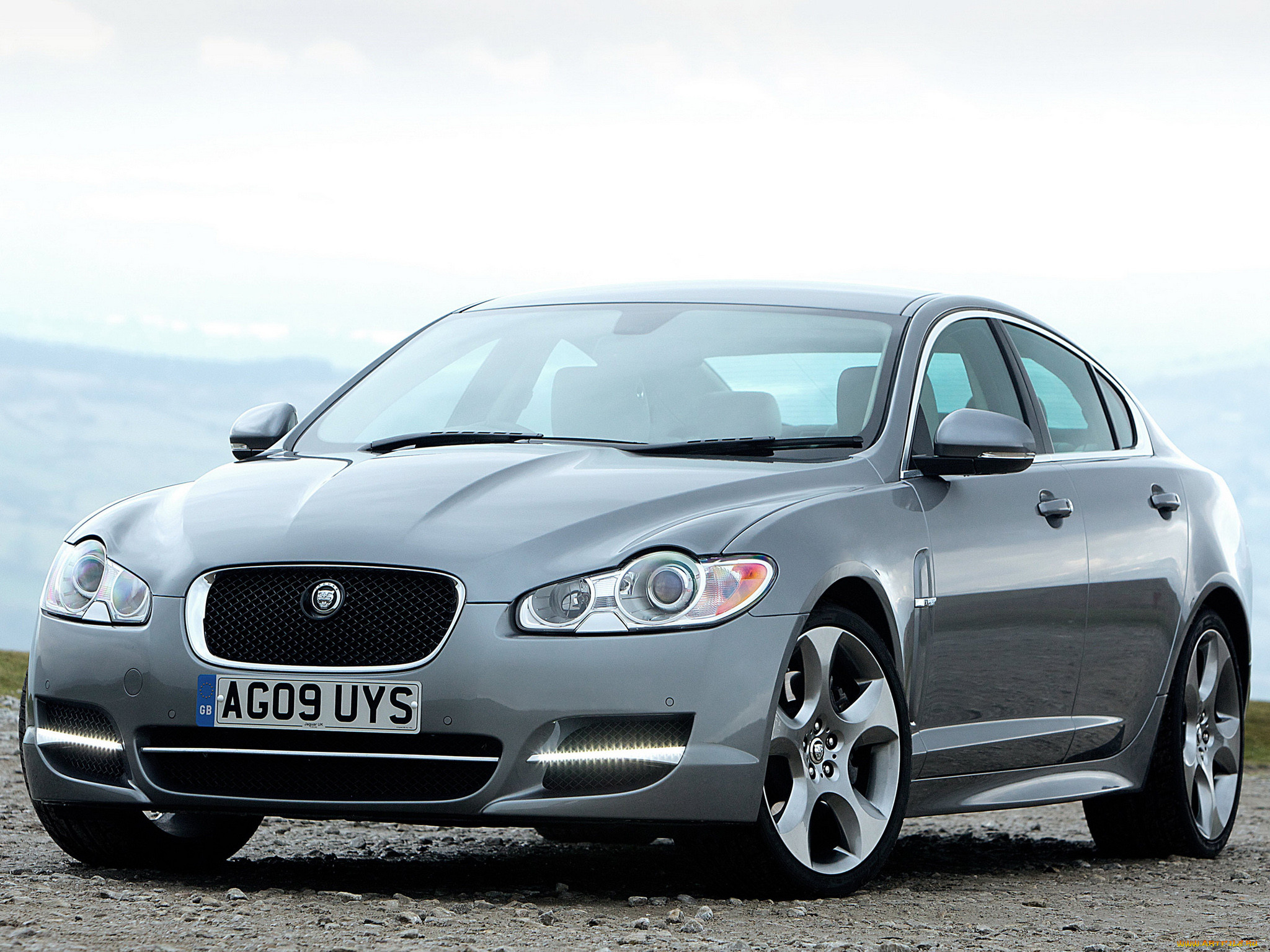 , jaguar